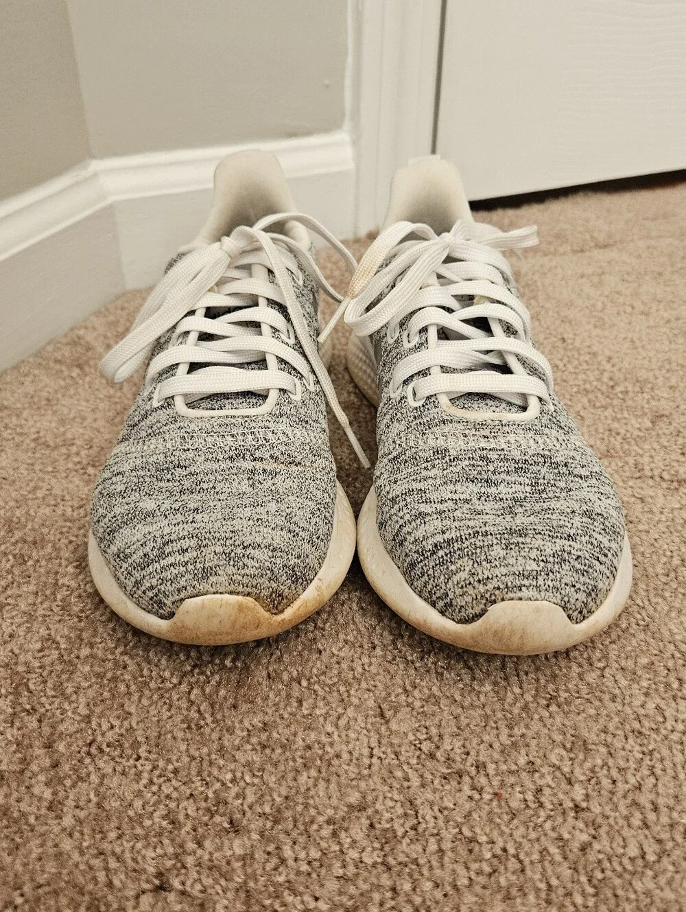 adidas fast shipping